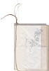 notebook DiArY : 泉沢 儒花 Juca IZUSAWA