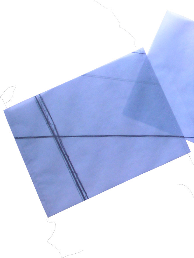 Blue Proportion