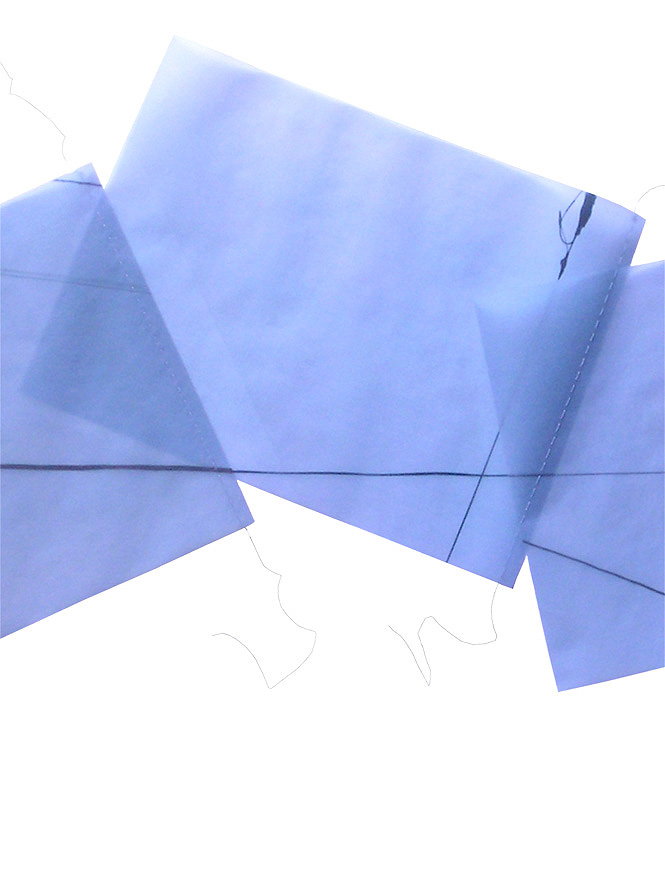 Blue Proportion