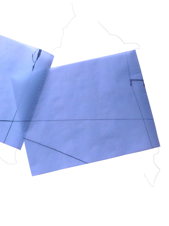 Blue Proportion